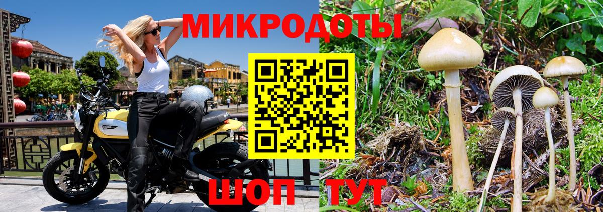 Псилоцибиновые грибы Psilocybe  Вход с VPN  Краснодар 
